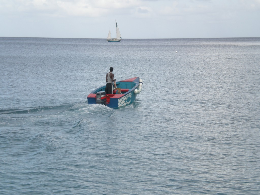 Un boy Boat des Grenadines